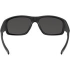 SFINX, Black Matte-TNS Polarized, hi-res image number null